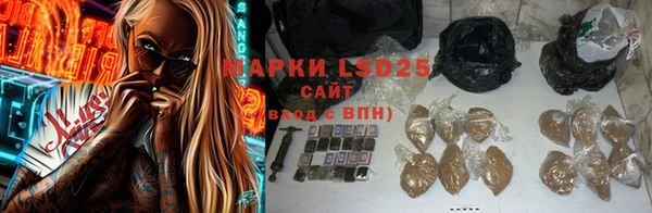 индика Балахна