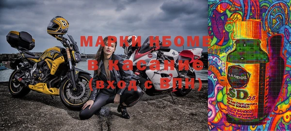 индика Балахна
